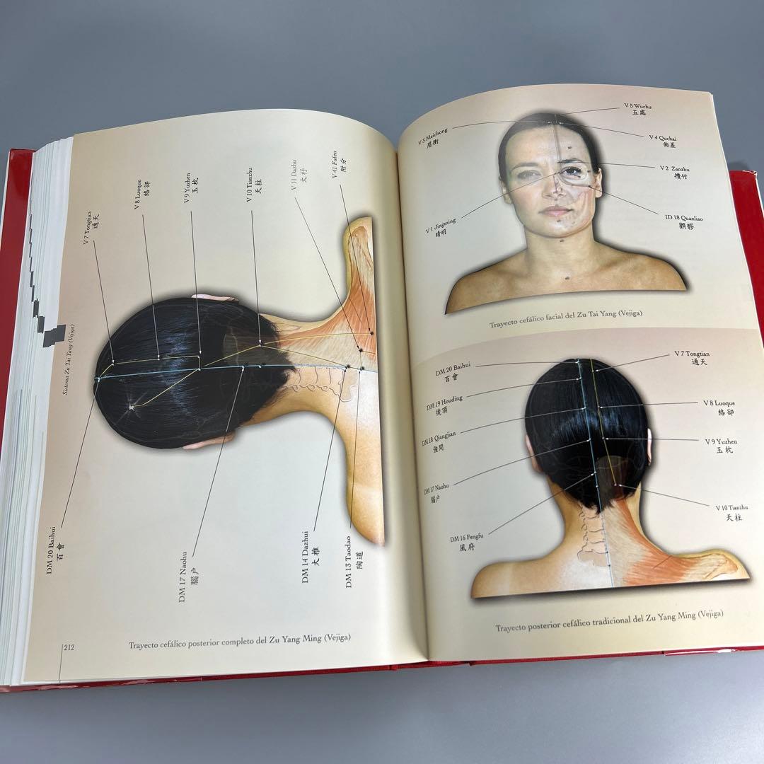 Àtlas fotográfico de acupuntura 鍼灸廃盤希少洋書