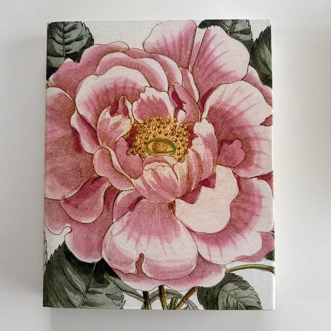 【最終お値下げ10/5本日までの特価です】ジョンデリアン ピクチャーブックII