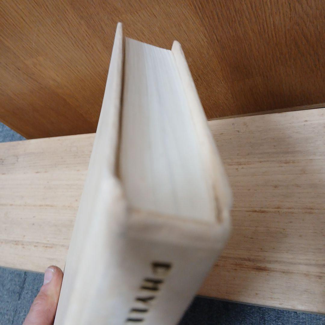 A life of Foujita by Phyllis Birbaum 英語版