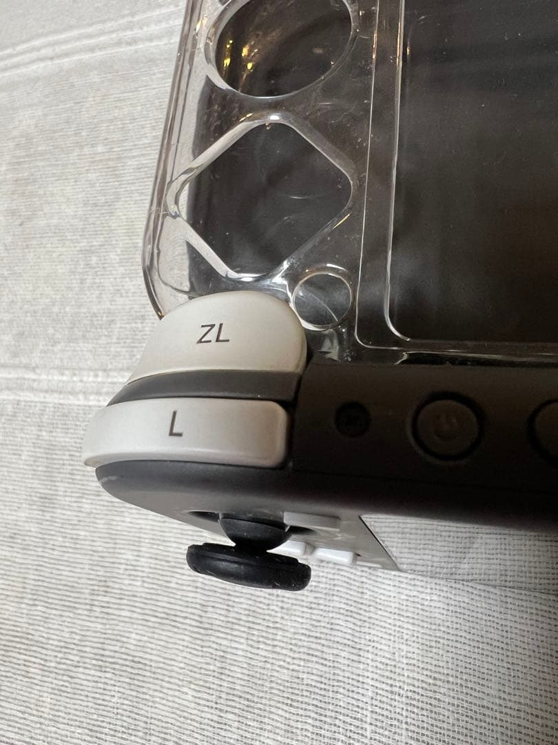 Nintendo Switch Lite 本体 充電器・ケース・カバー付き