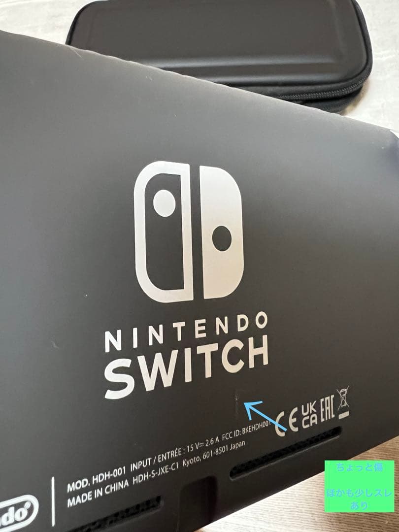 Nintendo Switch Lite 本体 充電器・ケース・カバー付き