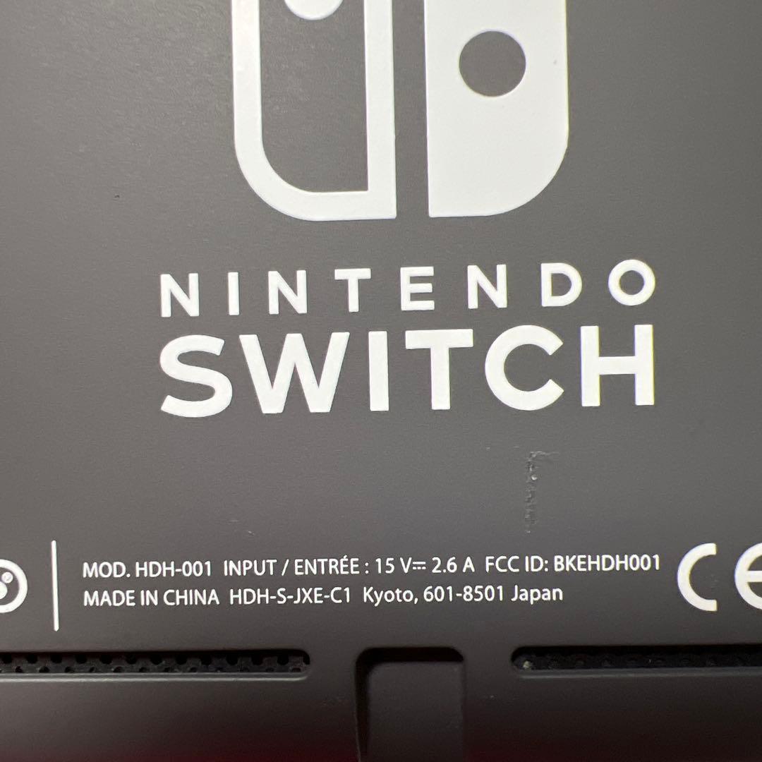 Nintendo Switch Lite 本体 充電器・ケース・カバー付き