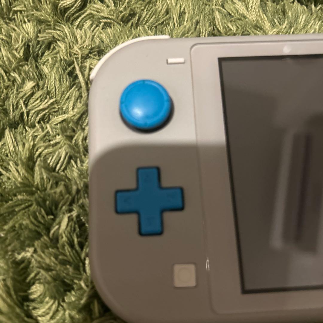 Nintendo Switch Lite ザシアンザマゼンタ　箱付き