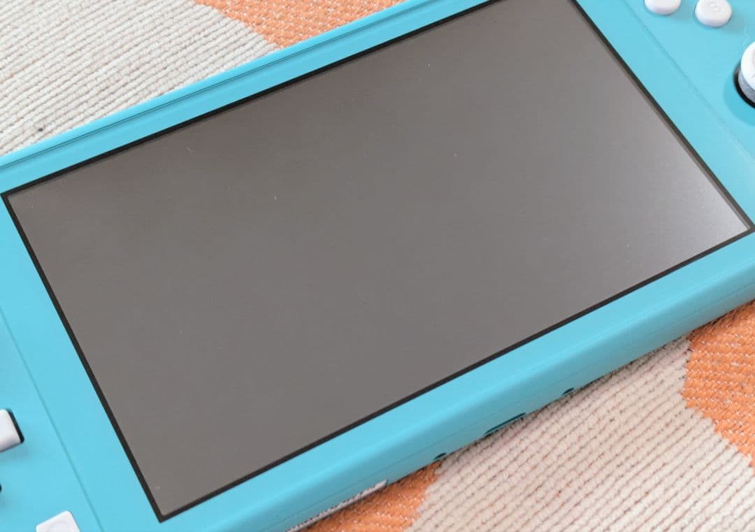 Nintendo Switch Lite グリップカバー付 (お値下げ不可)