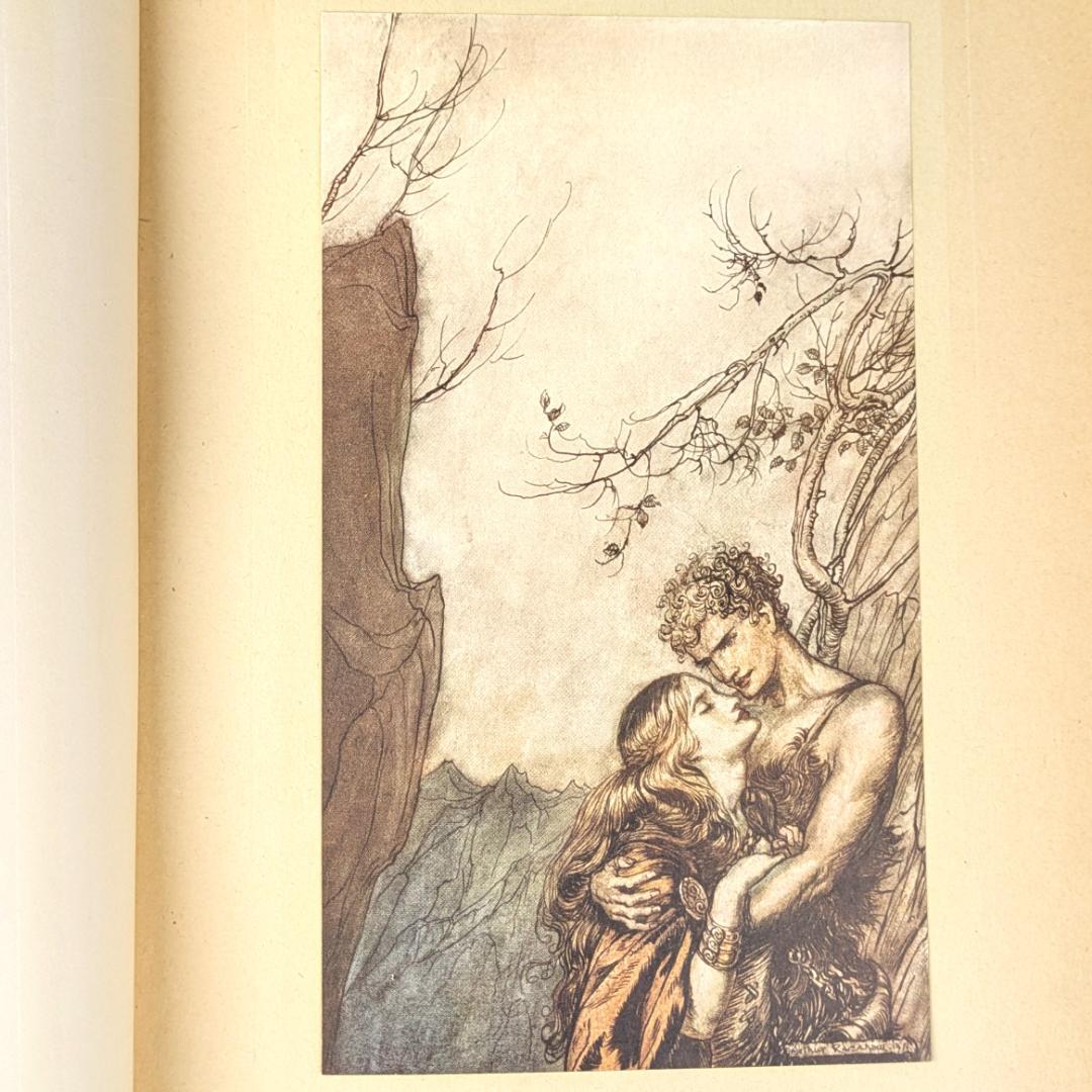初版 アーサー・ラッカム挿画紋本 カラーイラスト全揃いジークフリート・神々の黄昏