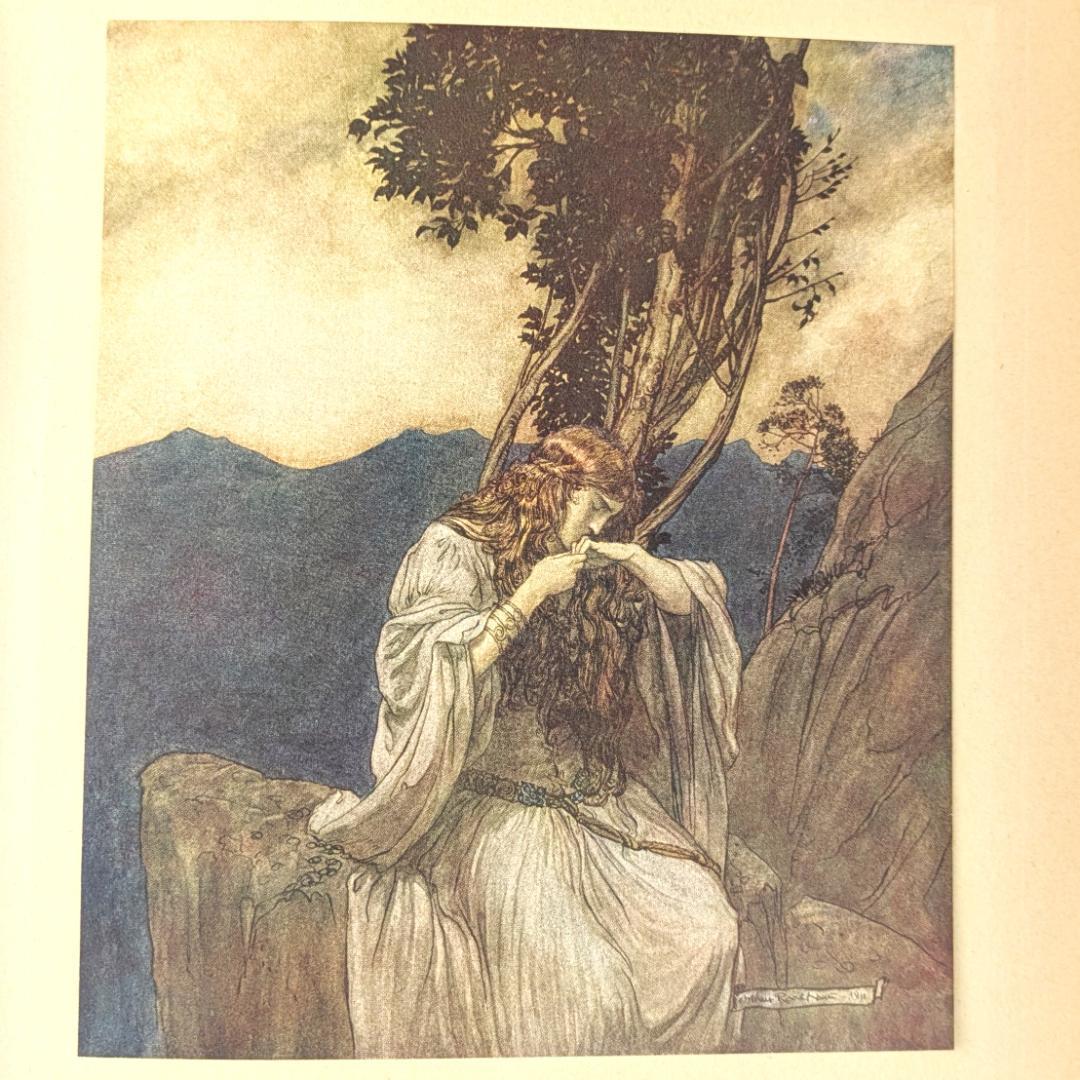 初版 アーサー・ラッカム挿画紋本 カラーイラスト全揃いジークフリート・神々の黄昏