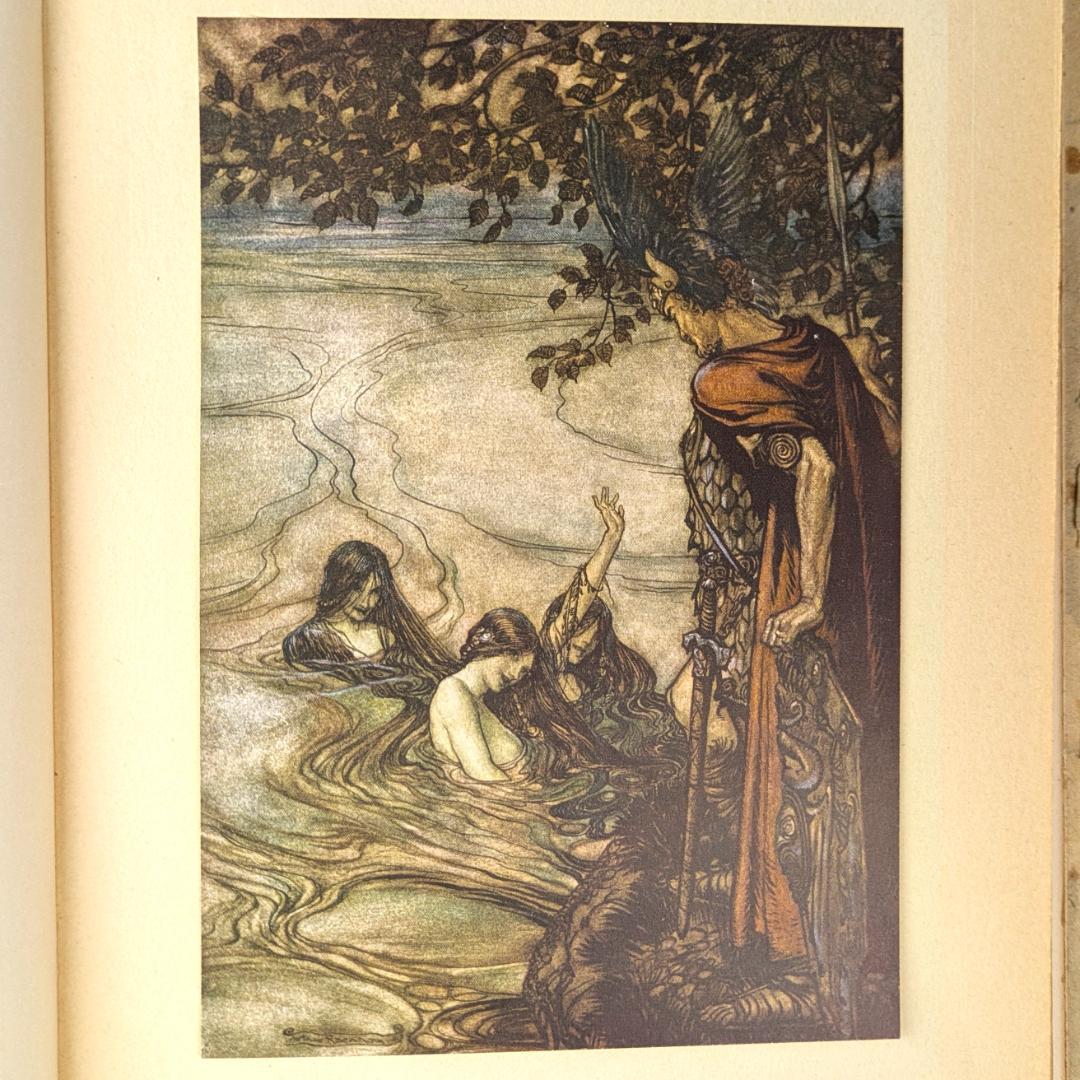 初版 アーサー・ラッカム挿画紋本 カラーイラスト全揃いジークフリート・神々の黄昏