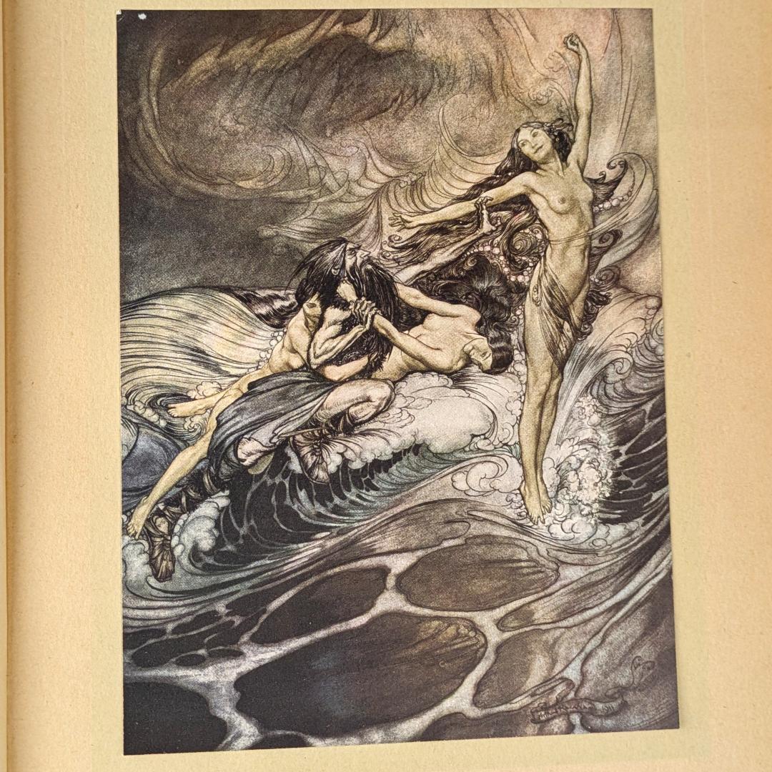 初版 アーサー・ラッカム挿画紋本 カラーイラスト全揃いジークフリート・神々の黄昏