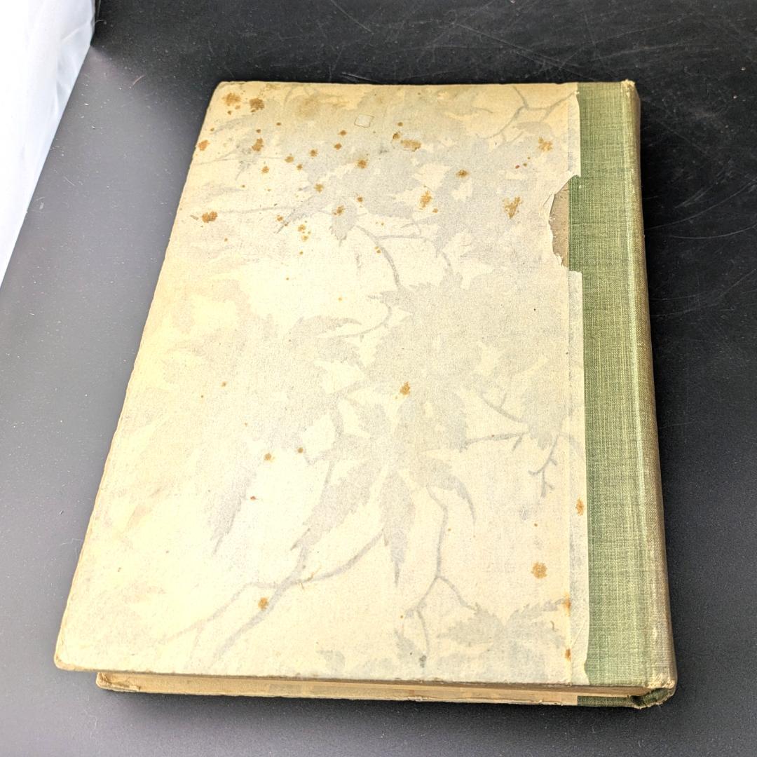 初版 アーサー・ラッカム挿画紋本 カラーイラスト全揃いジークフリート・神々の黄昏