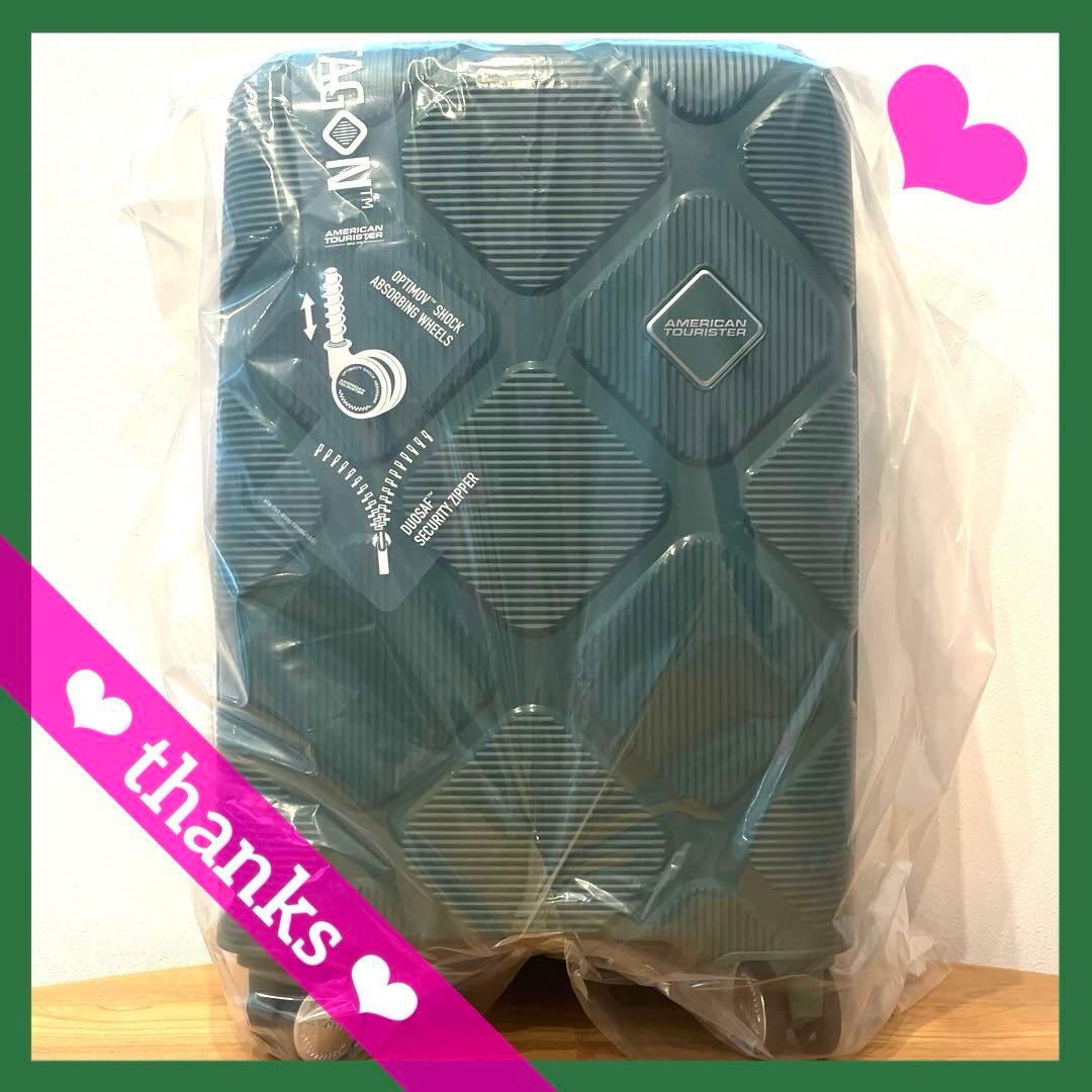 アメリカンツーリスター インスタゴンS 新品　セージグリーン