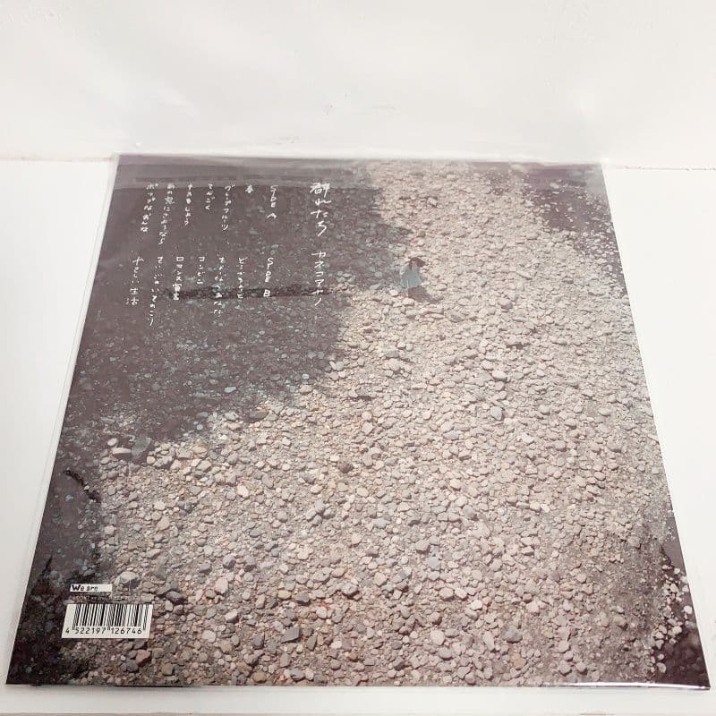 カネコアヤノ　群れたち　LP レコード