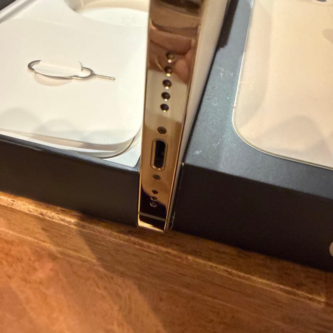 ⭐︎大幅お値下げ⭐︎Apple iPhone13Pro ゴールド　256GB