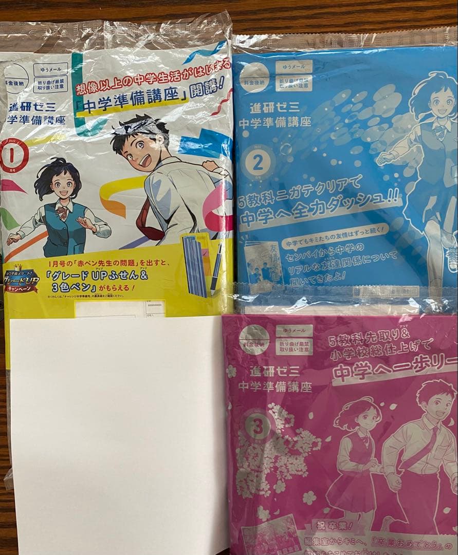 【未使用品まとめ売り】進研ゼミ　チャレンジ6年生　一年分