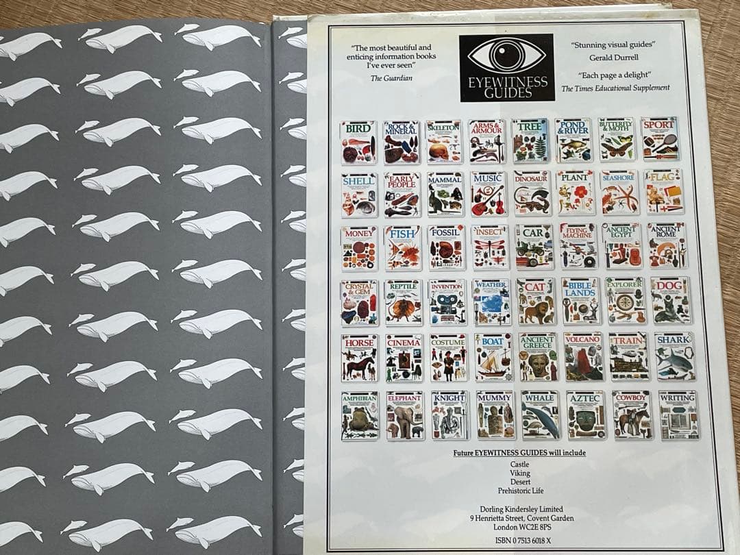 洋書　クジラの本　EYEWITNESS GUIDES シリーズ　WHALE