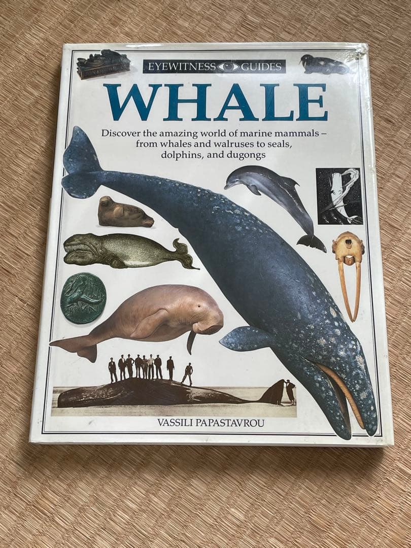 洋書　クジラの本　EYEWITNESS GUIDES シリーズ　WHALE