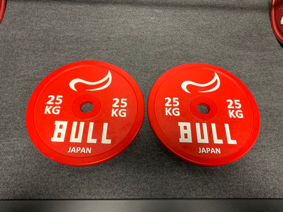 専用　BULL 25KG ウエイトプレート 2枚セット