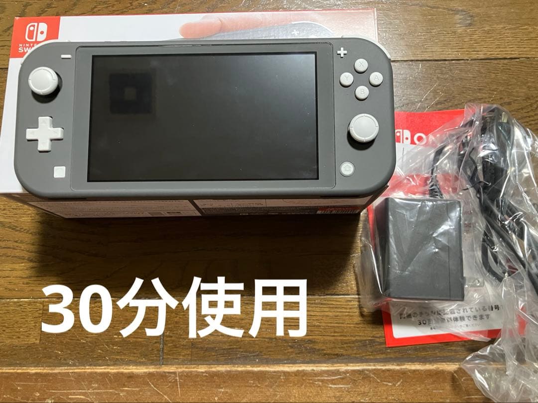 Nintendo Switbh Lite（グレー）美品