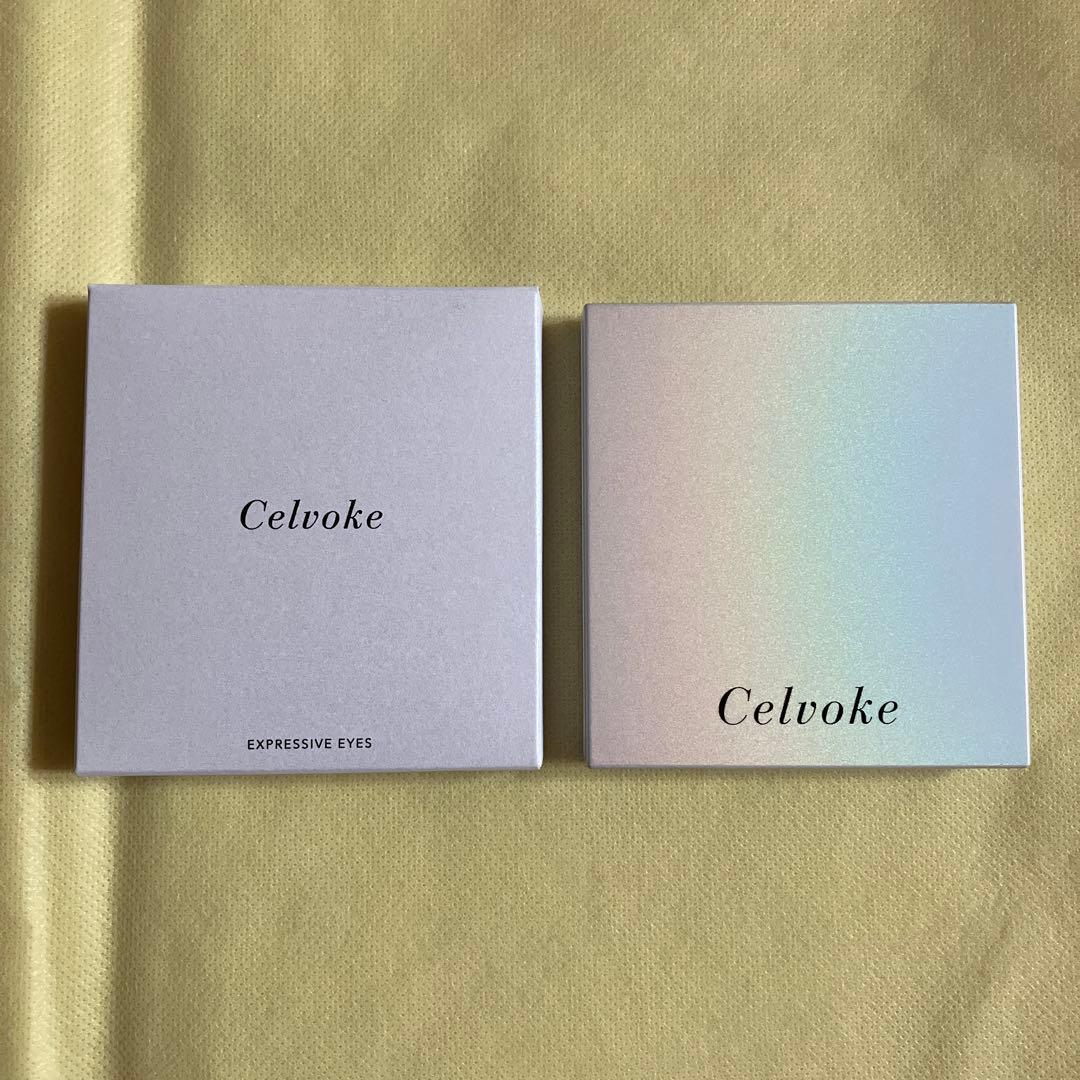 極美品 セルヴォーク エクスプレッシヴ アイズ EX04