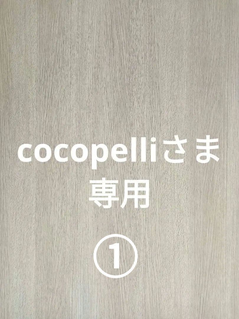【cocopelliさま専用①】引き出し