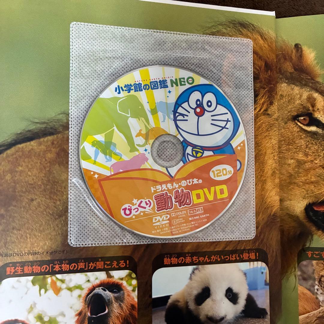 小学館の図鑑neo 13冊セット