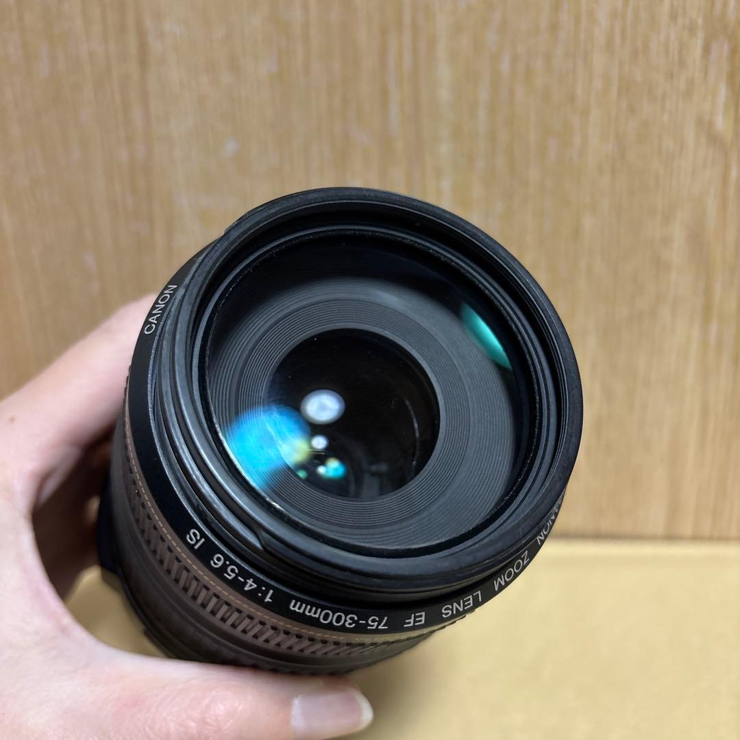 Canon EF 75-300mm f/4-5.6 IS ズームレンズ