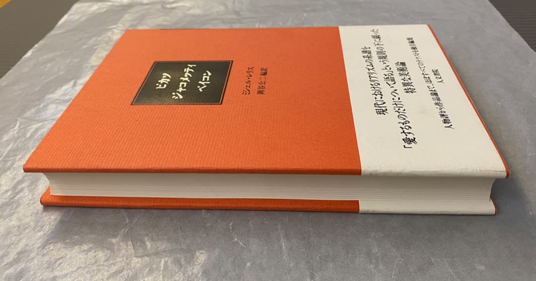 ミシェル・レリス『ピカソ　ジャコメッティ　ベイコン』、人文書院、1999年。