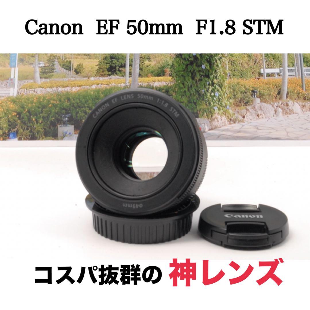 ✨万能レンズ✨Canon EF 50mm F1.8 STM 人気 美品