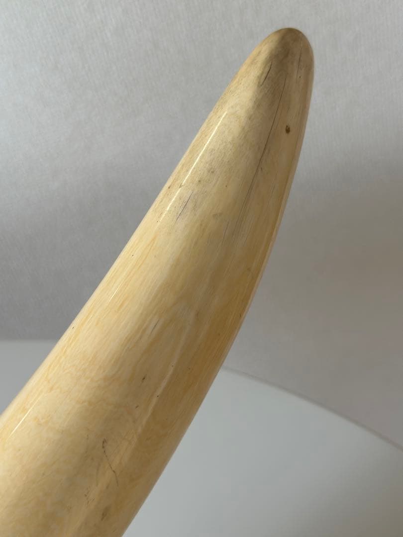 象牙風　インテリア装飾品