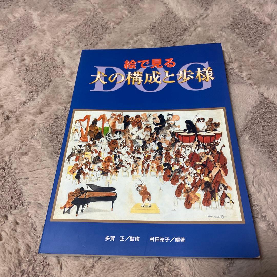 絵で見る犬の構成と歩様