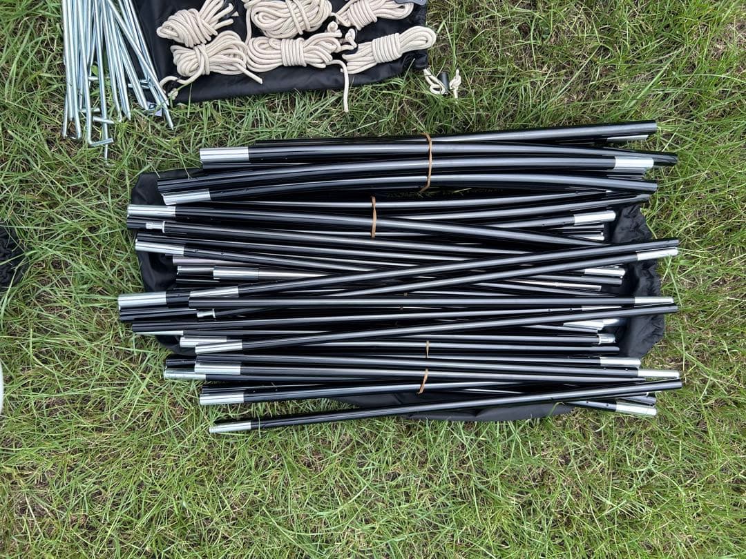 サバティカル SABBATICAL アルニカ