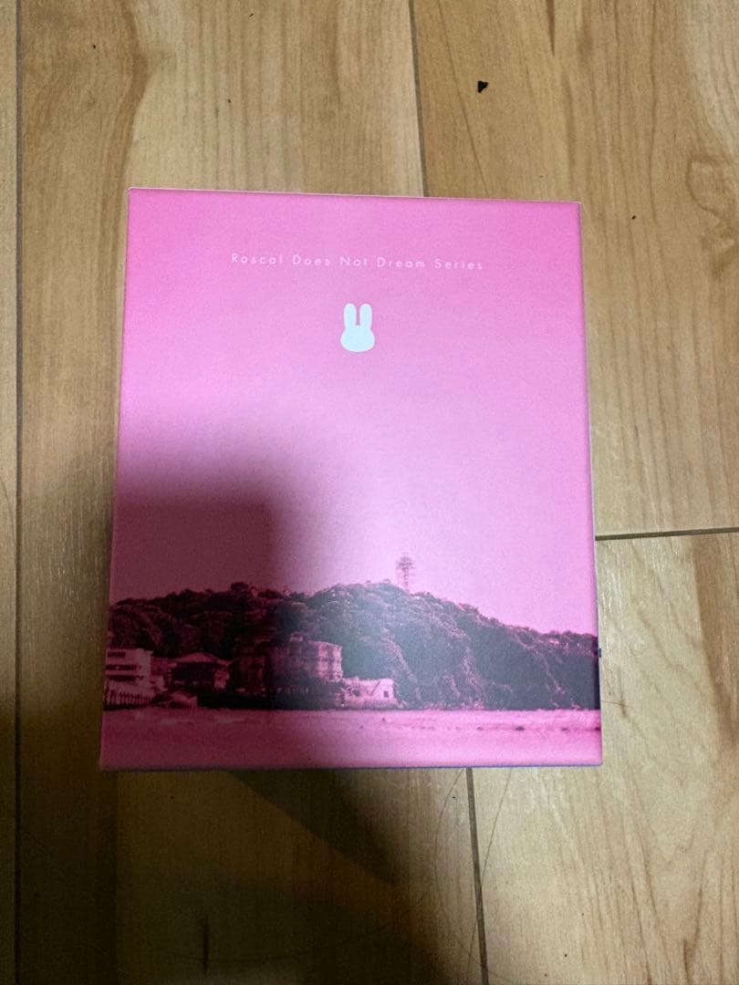青春ブタ野郎はバニーガール先輩の夢を見ない 全巻収納ボックス 特装版収納ボックス