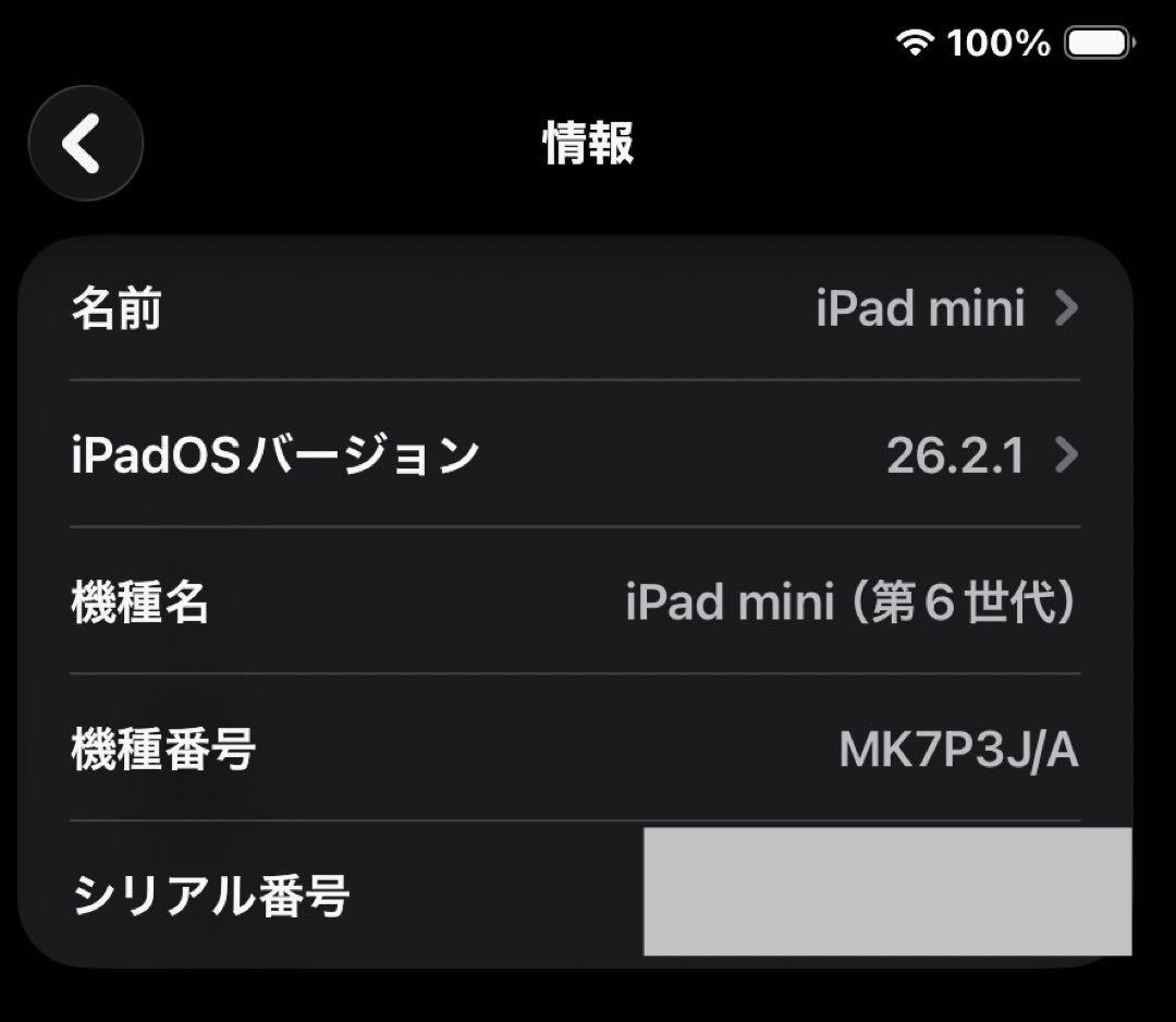 【美品】iPad mini 6世代 64GB バッテリー100%