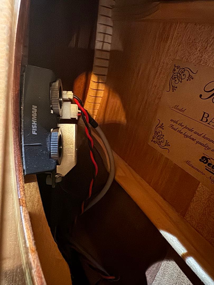 Bacchus BAB-600M アコースティックベース