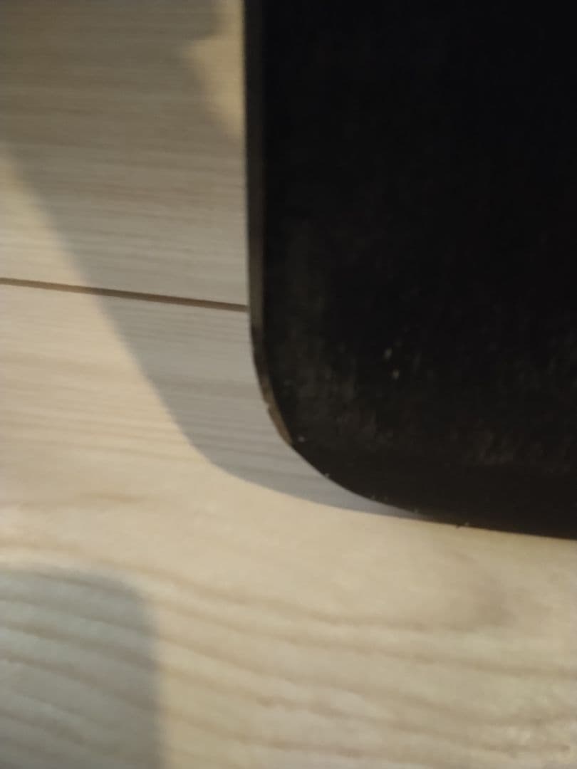 エラン　ジュニアスキー板　110　オフシーズン特価！