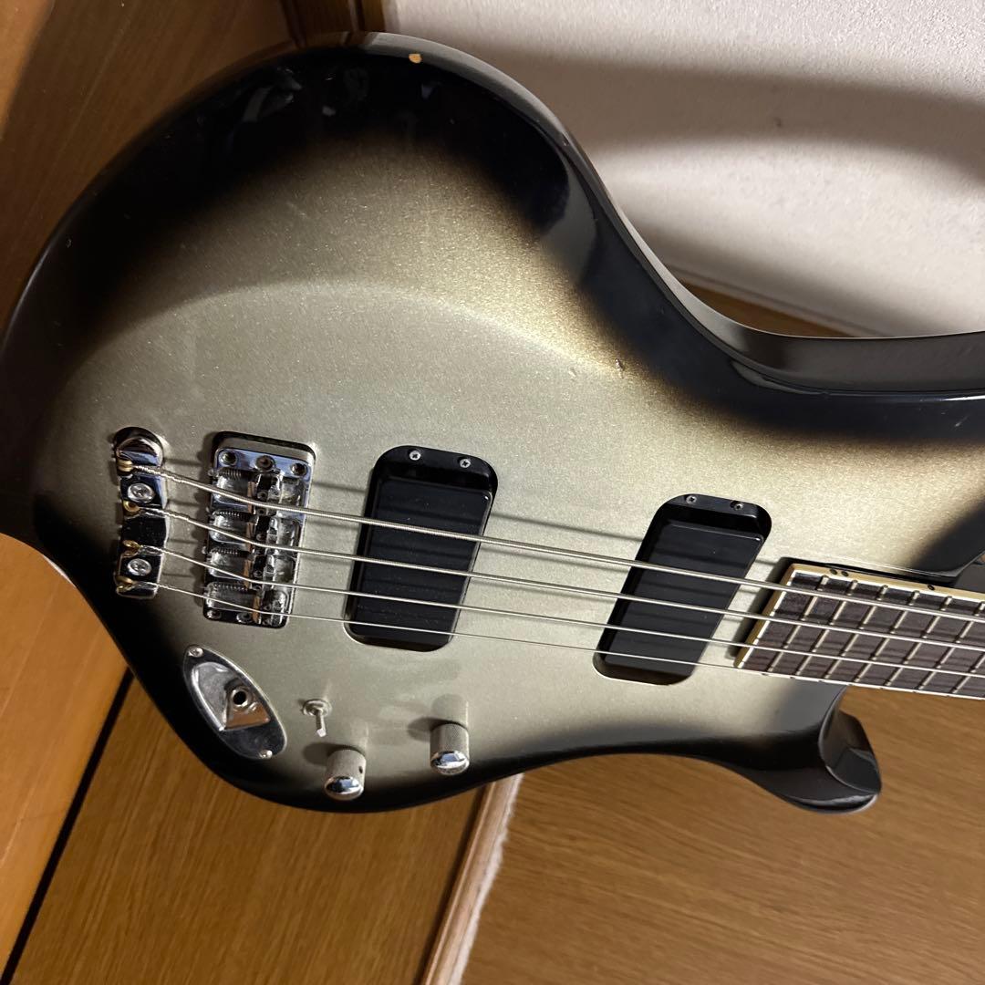 Burny ka-yuモデル　シルバーサンバースト