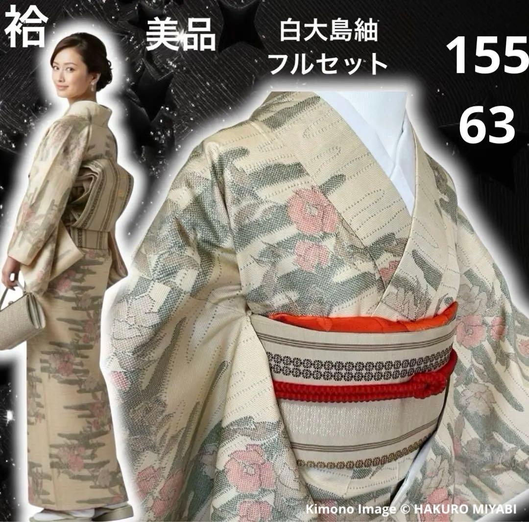 グ*マ様 モ46 未使用近い　美品　袷　正絹　白大島　白紬　大島紬　フルセット