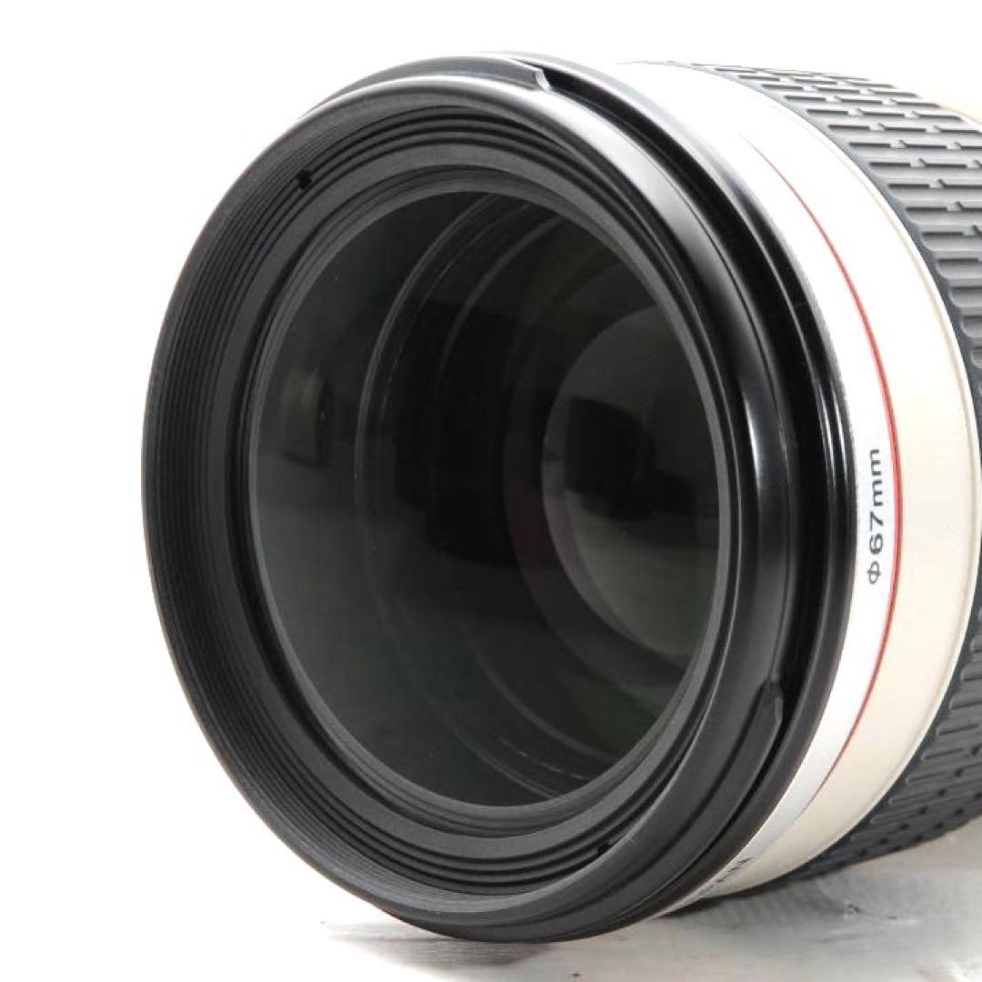 美品✨最軽量Lレンズ❤️Canon EF 70-200mm F4 L USM