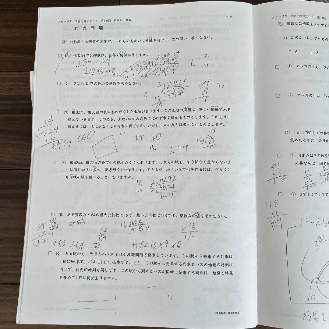 日能研6年　学習力育成テスト/公開模試/合格力育成テスト/合格力実践テスト