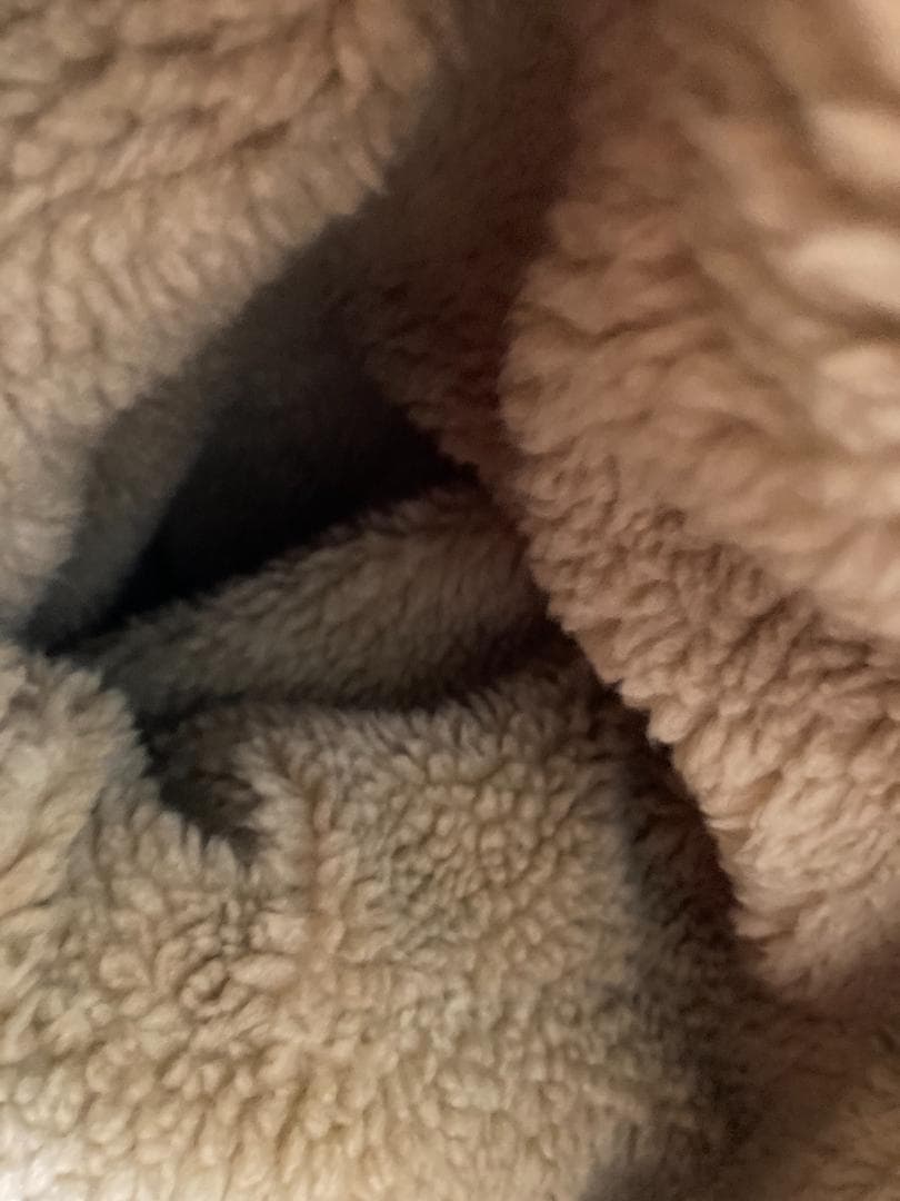 p*o様 DALEE'S&Co ダリーズ NA2 ナイロンジャケット デラックス