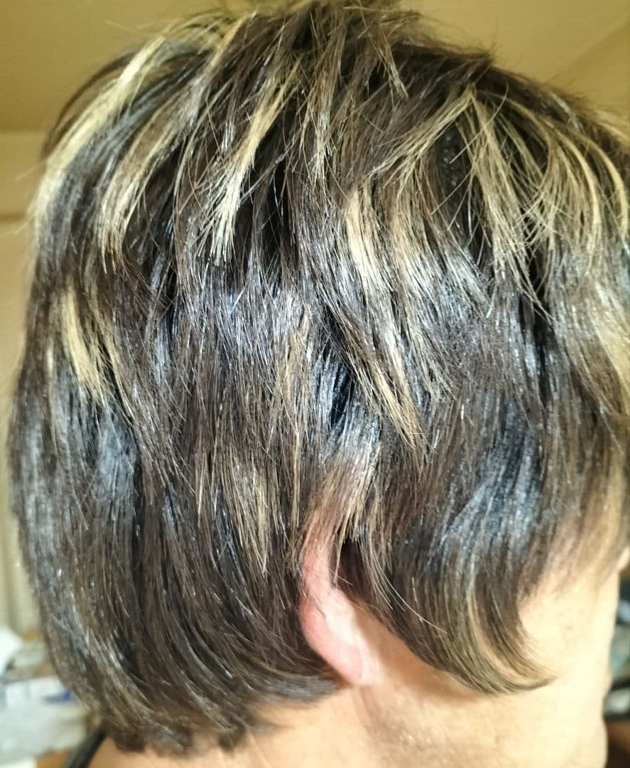 パープルプル　アデランスフォンテーヌR'couleur メッシュショート