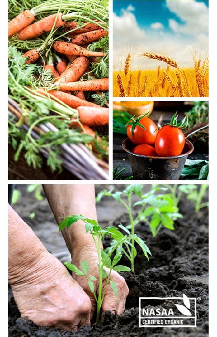 bubs Organic 1 (0~6 Months ) 800g 4缶セット