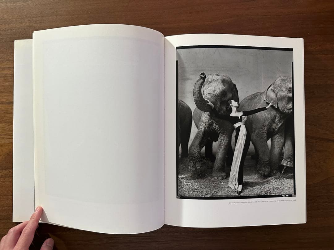 アート・デザイン・音楽 Richard Avedon Photographs 1946 2004