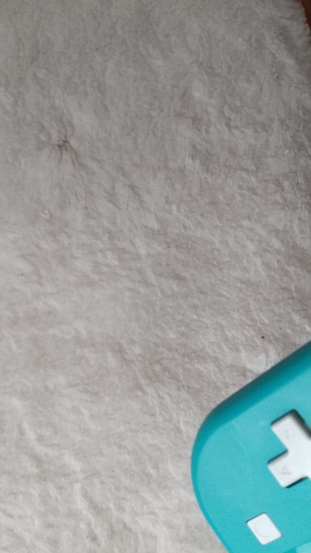 Nintendo Switch Lite ターコイズ 本体 動作品 極良品