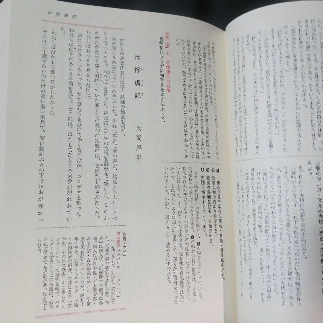 研数書院 技法解明 現代国語 二色刷 絶版 希少 昭和52