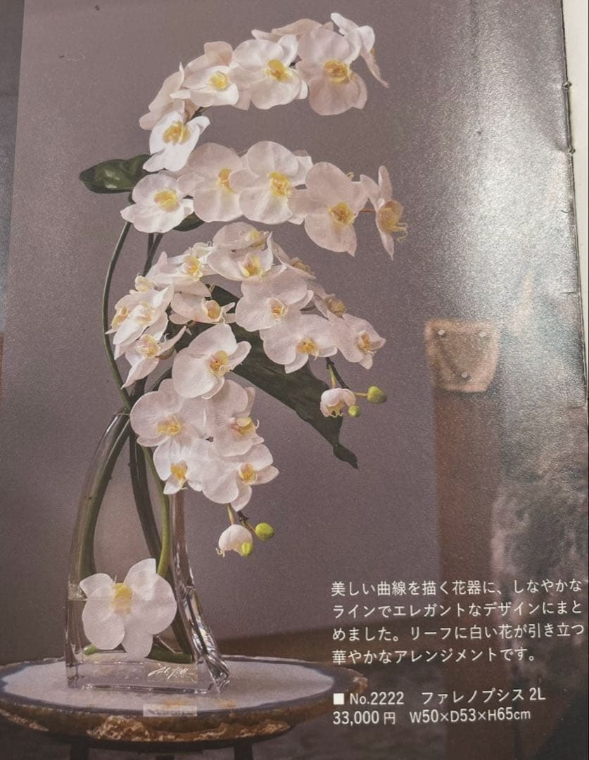 Bエミリオロバ ファレノプシス2L 胡蝶蘭 花 白フラワーアレンジメント