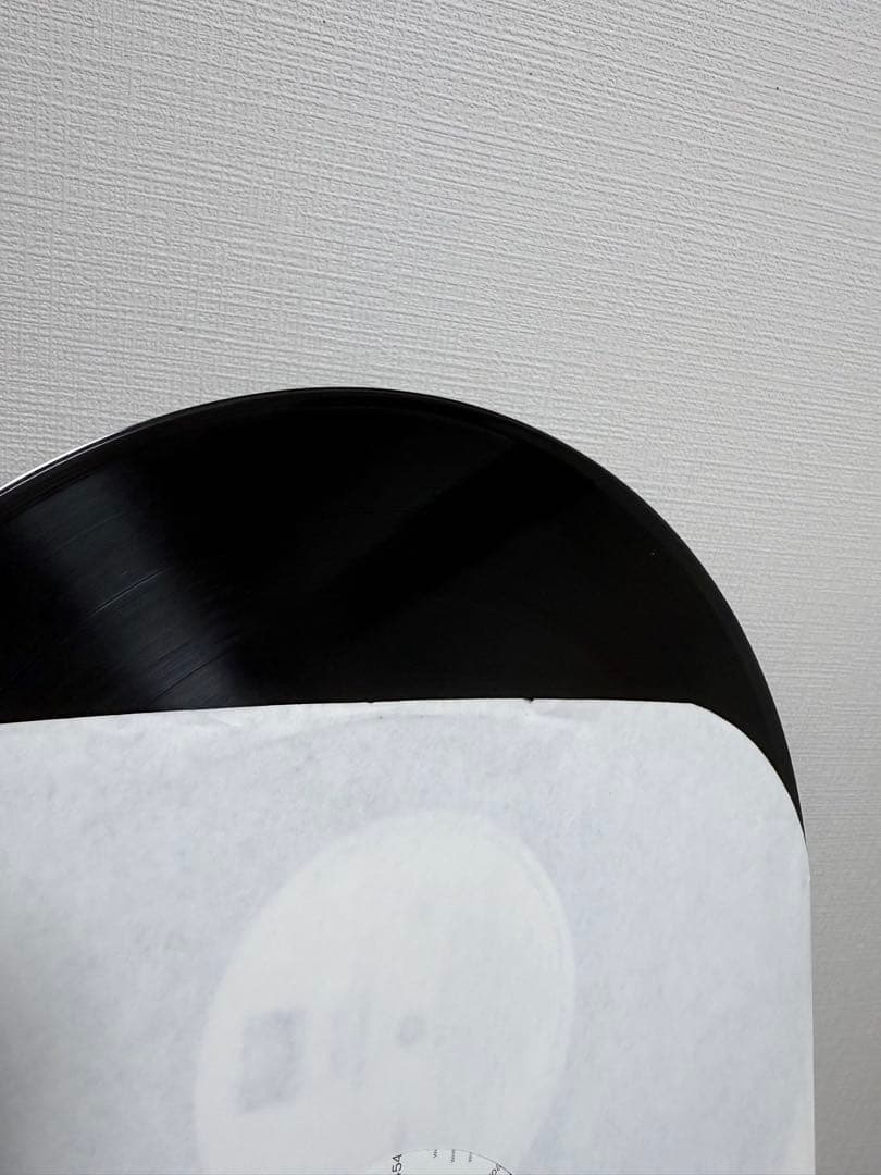 RaKim The Master LPレコード