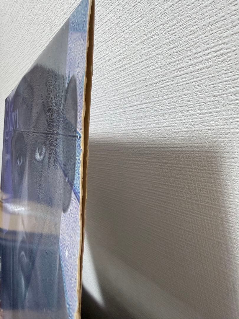 RaKim The Master LPレコード