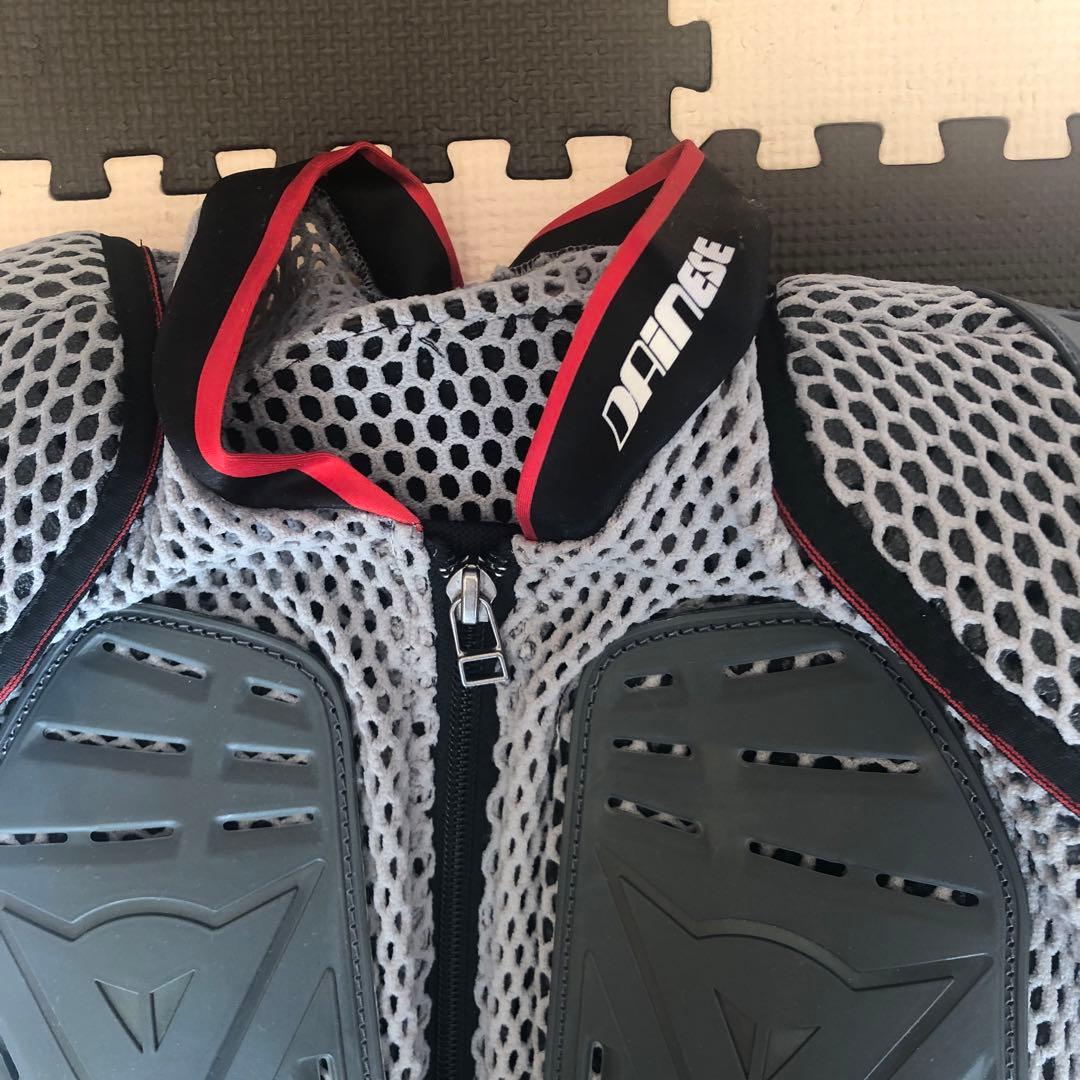 ダイネーゼ 上半身 プロテクター