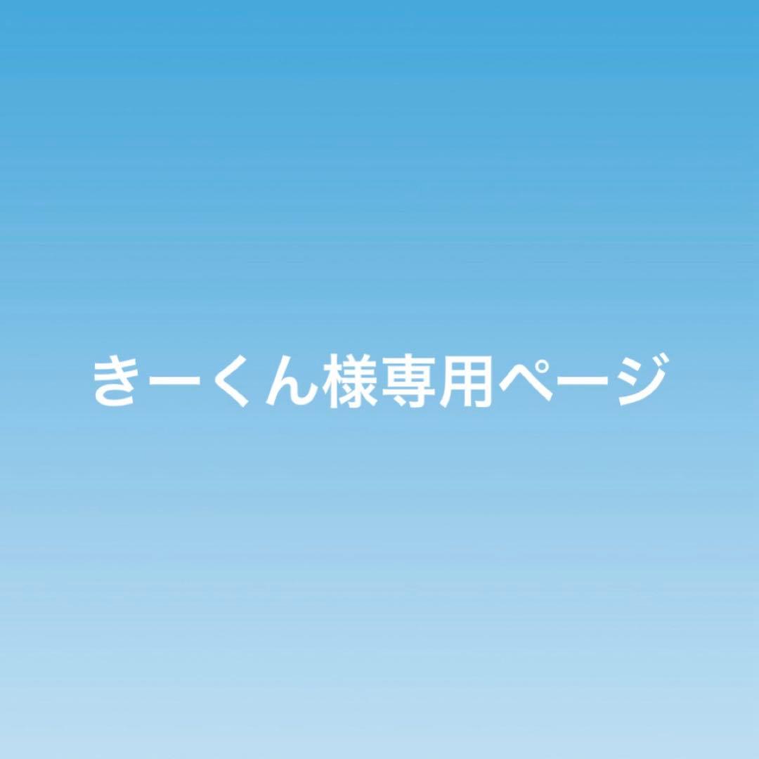 きーくんページ