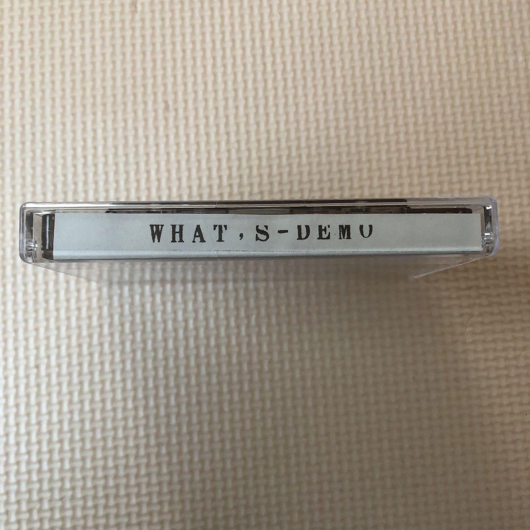 成田昭次　what's DEMO